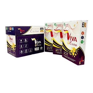 Giấy thùng Viva Extra 80