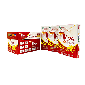 Giấy thùng Viva Extra